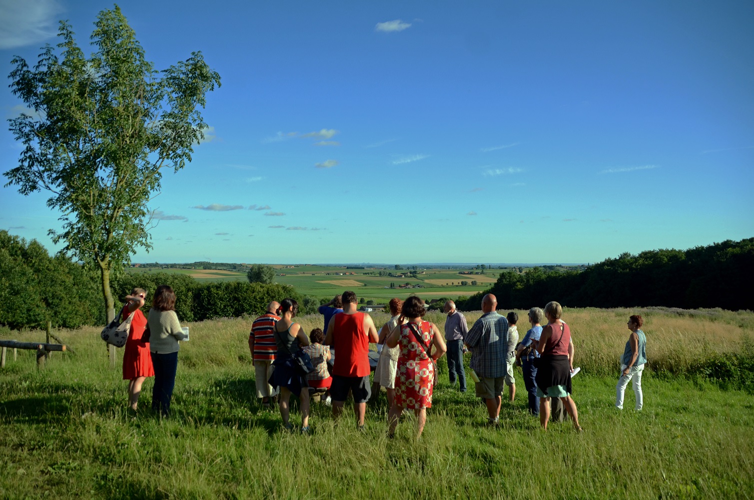 open beeld van wandelaars